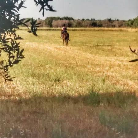 La Casa Delle Api Scorrano (Apulia)